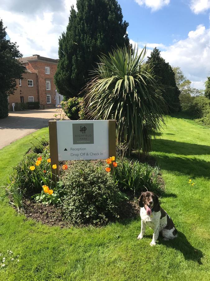 Highfield Park Hotel Hook  Exterior foto